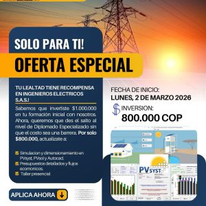 DIPLOMADO ESPECIALIZADO EN SSF